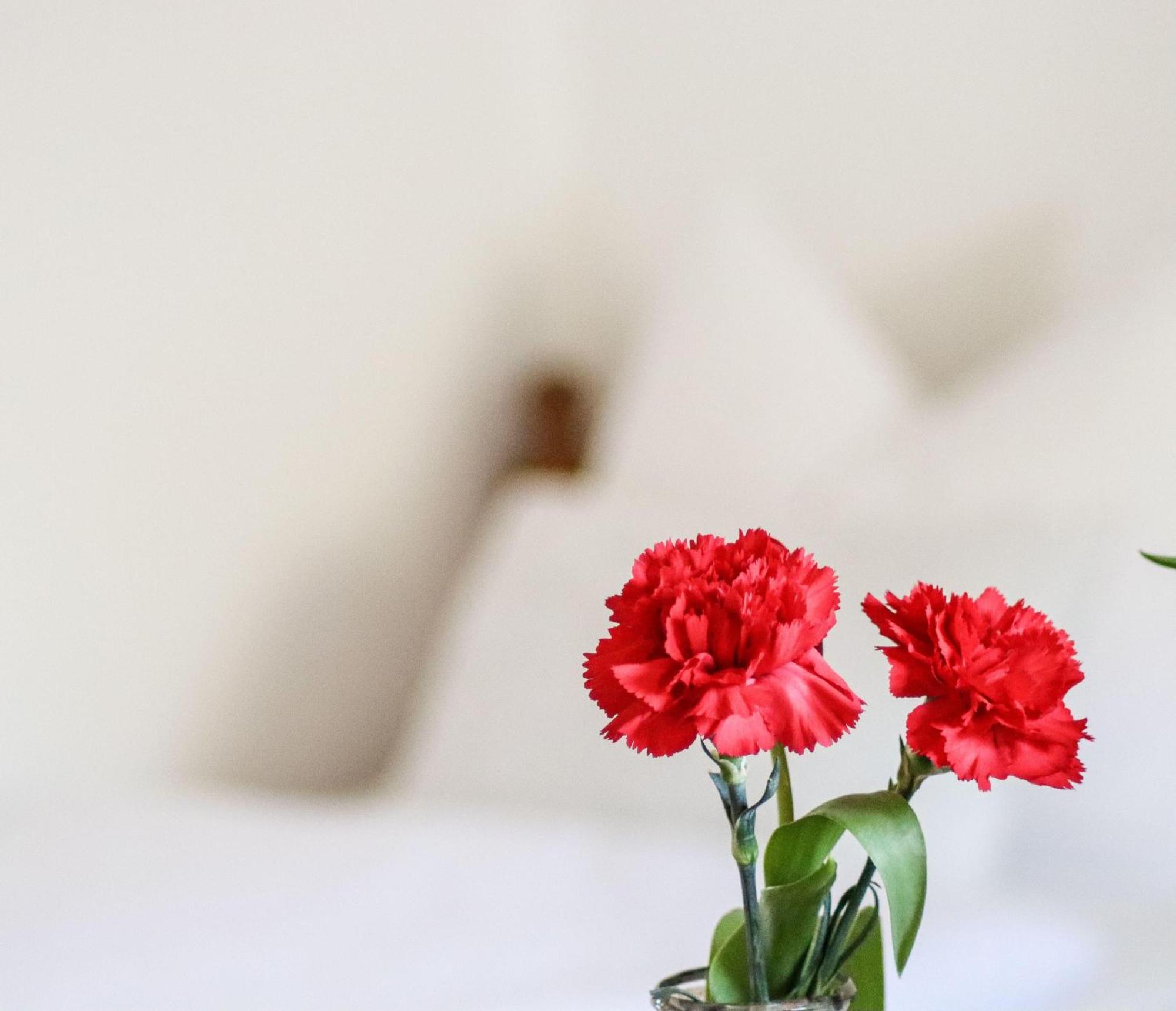 Apartment Vordermitterast Kirchberg in Tirol Dış mekan fotoğraf