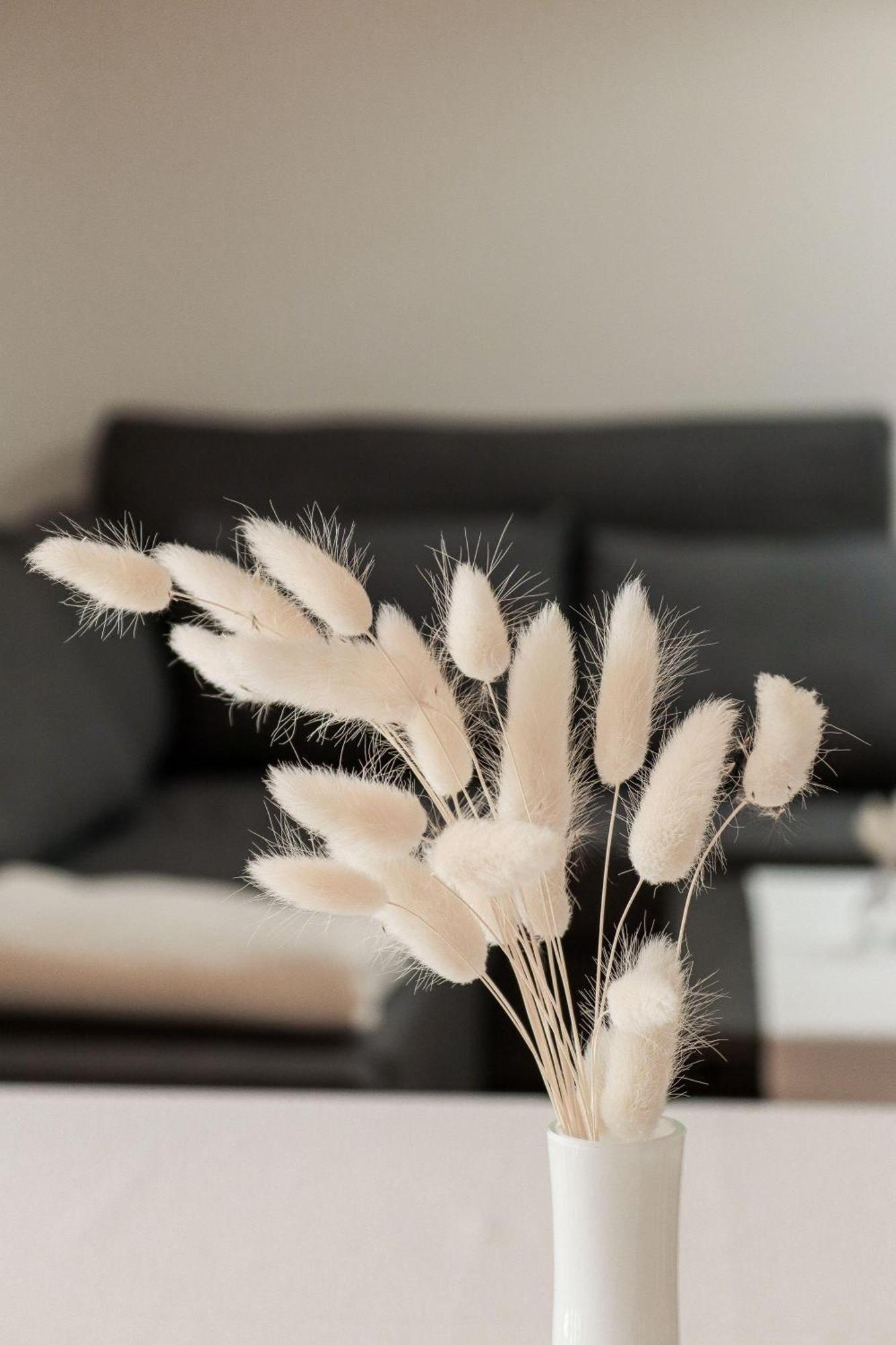 Apartment Vordermitterast Kirchberg in Tirol Dış mekan fotoğraf
