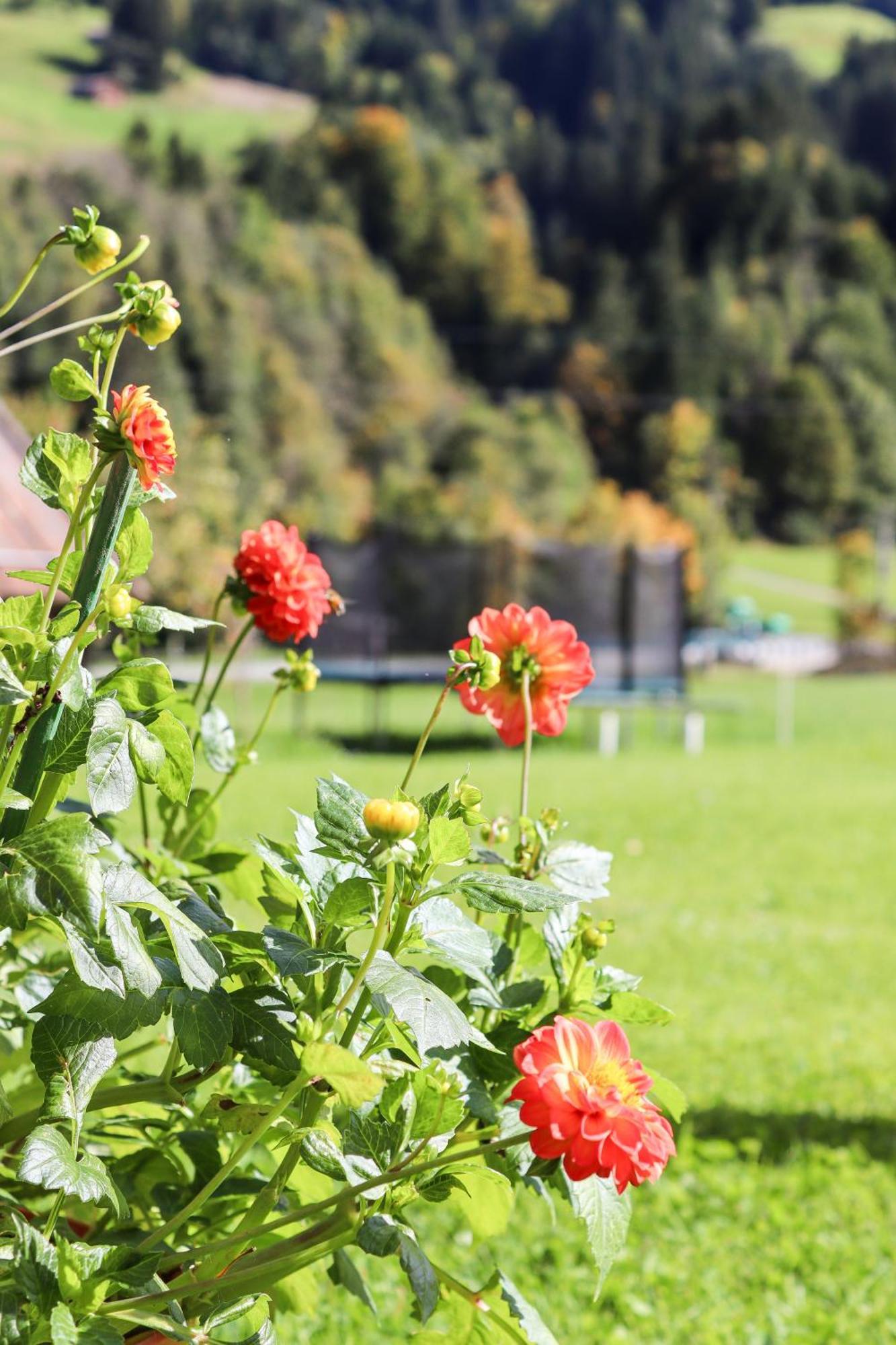 Apartment Vordermitterast Kirchberg in Tirol Dış mekan fotoğraf